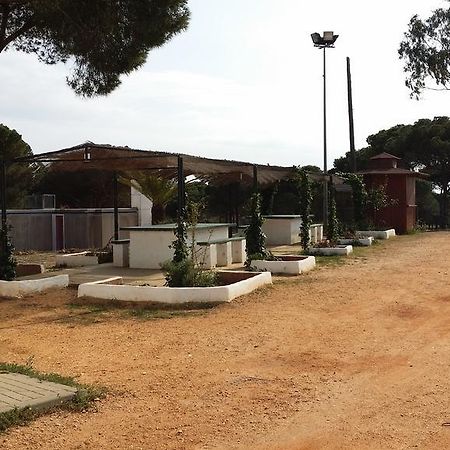 Albergue Rural Territorio Del Gato El Rompido Zewnętrze zdjęcie