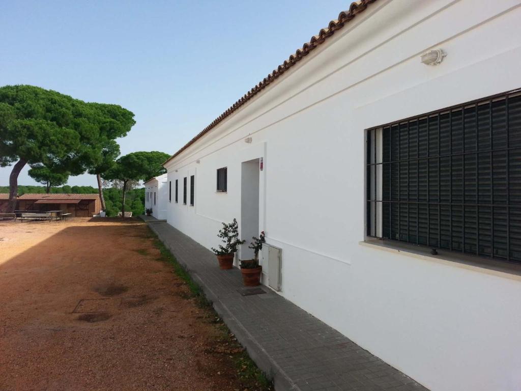 Albergue Rural Territorio Del Gato El Rompido Zewnętrze zdjęcie