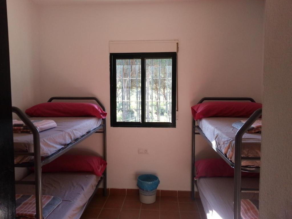 Albergue Rural Territorio Del Gato El Rompido Pokój zdjęcie